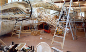 Vac formed polycarbonate being fitted around hand carved skeletal structure