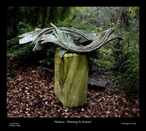 Nature - Flowing in Waves Plowright (C) 2012