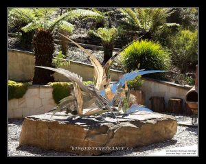 Winged Exuberance 2 Plowright (C) 2016